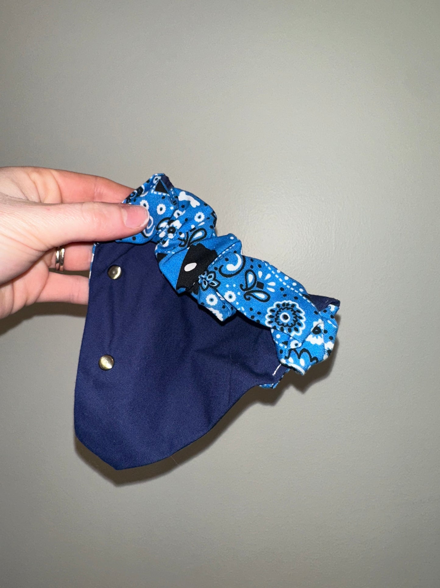 Blue Bandana