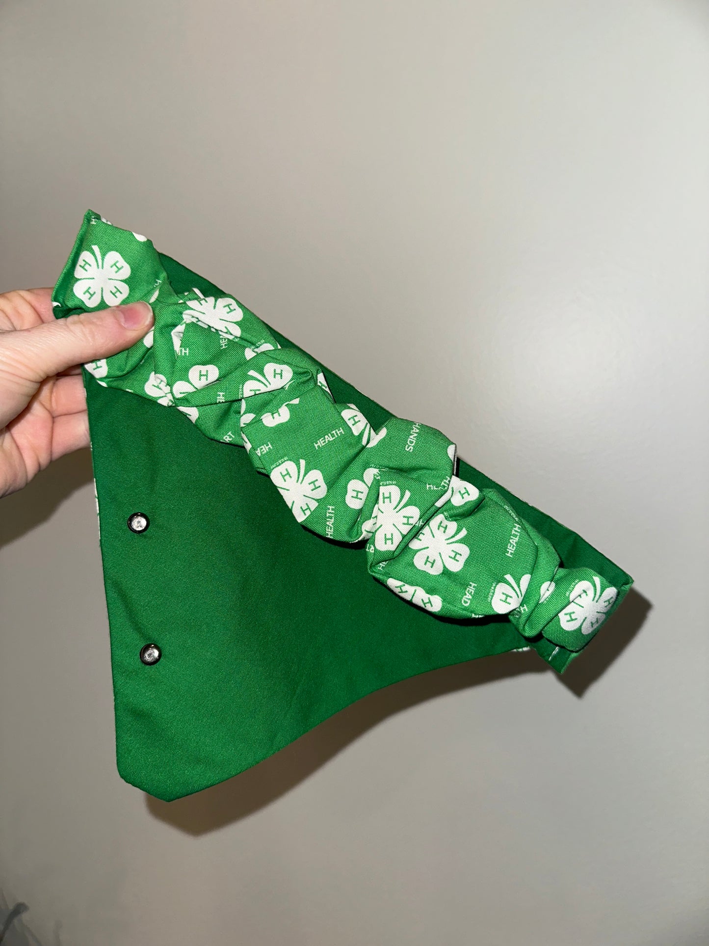 4-H