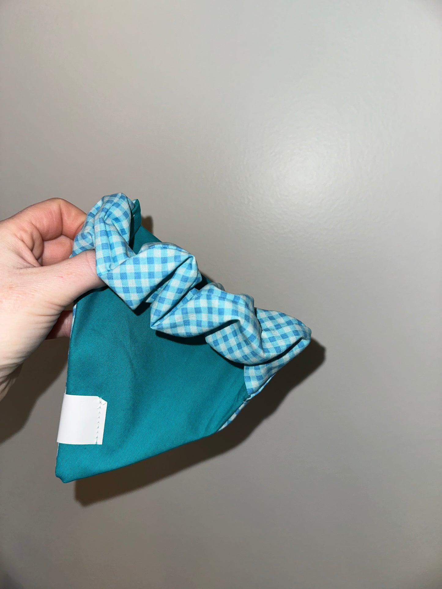 Blue Gingham
