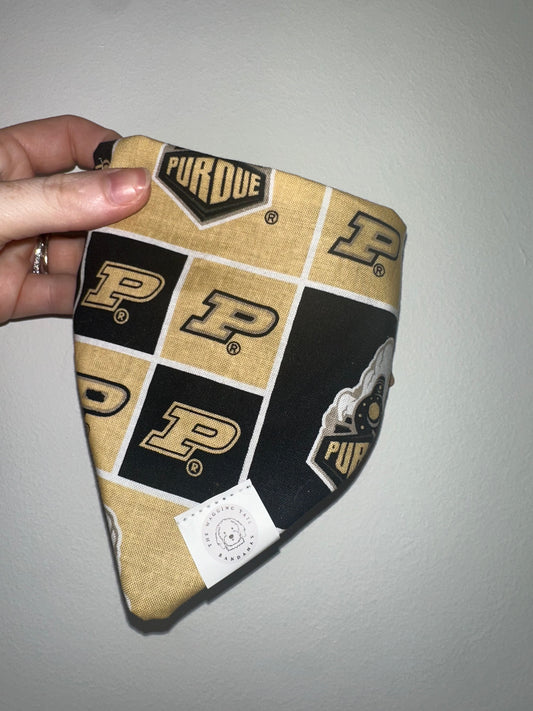 Purdue P’s
