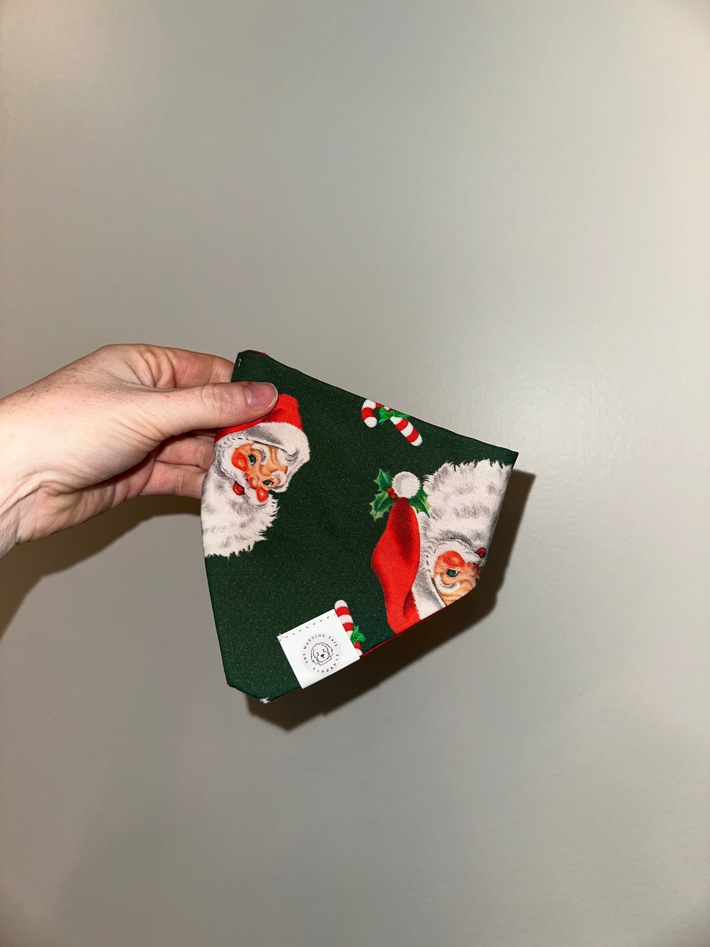 Vintage Santa