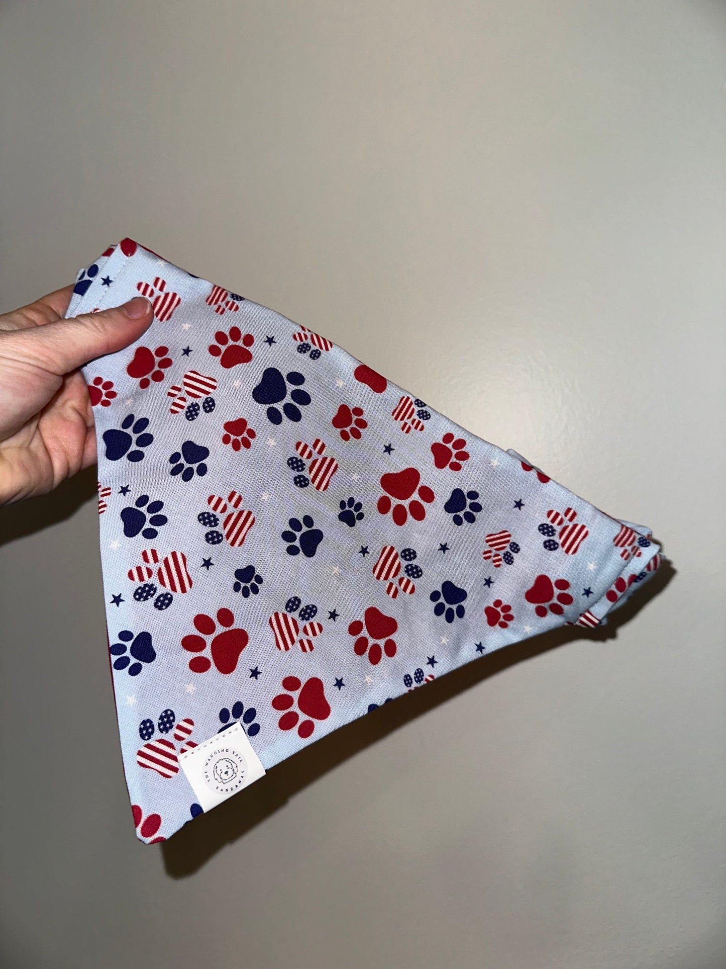 American Paws