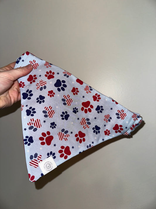 American Paws