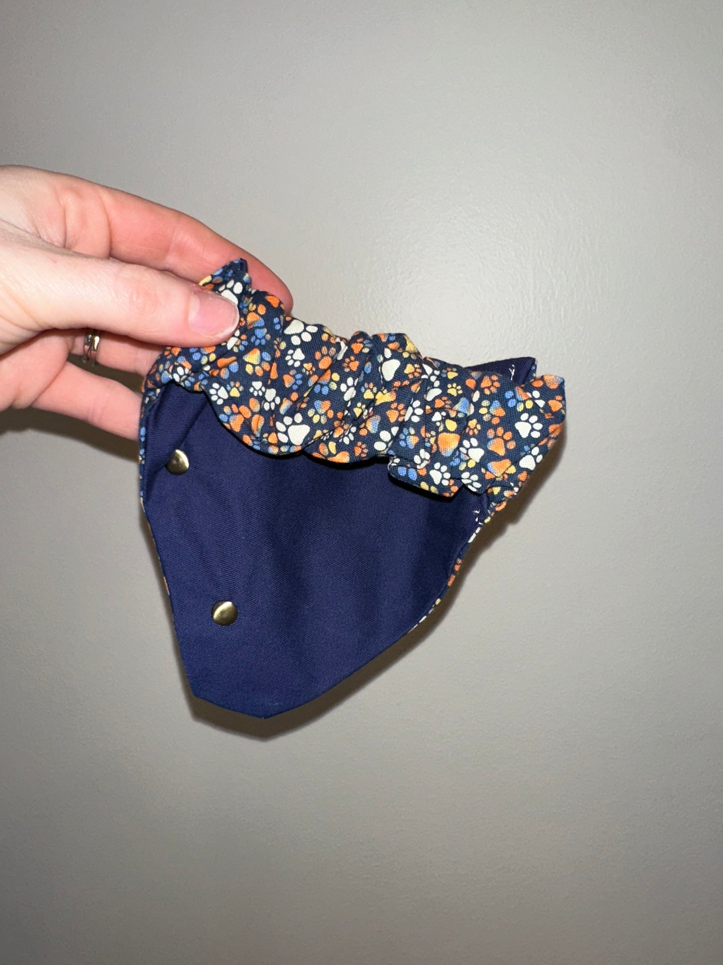 Navy & Orange Paws