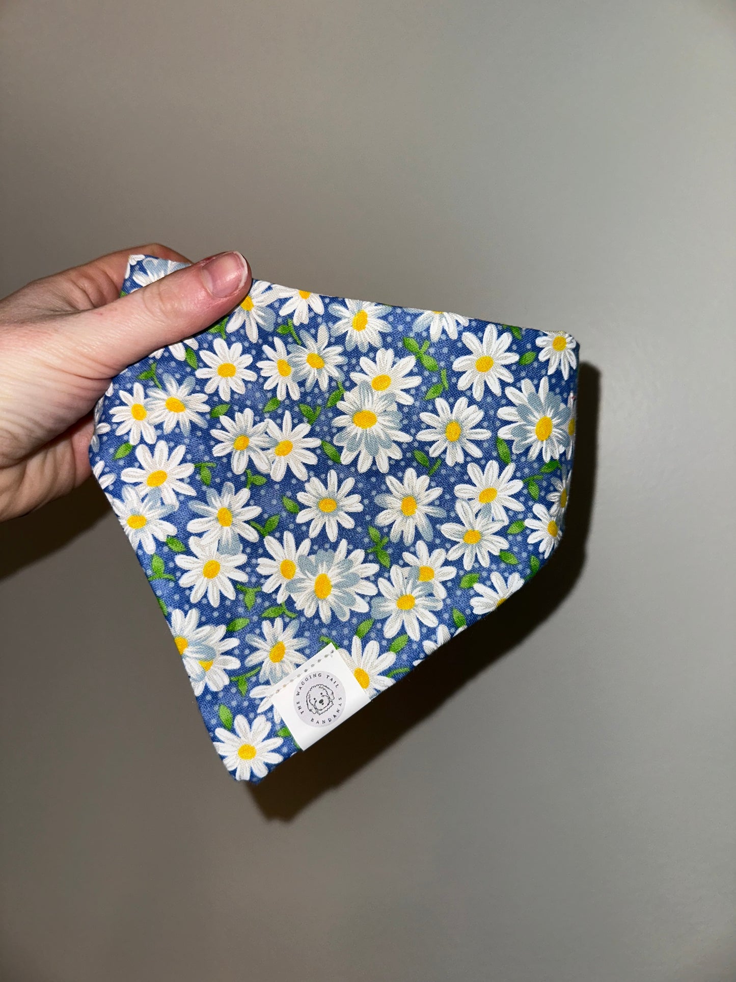 Blue Daisies