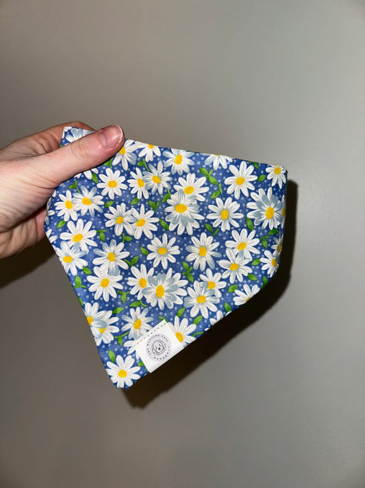 Blue Daisies