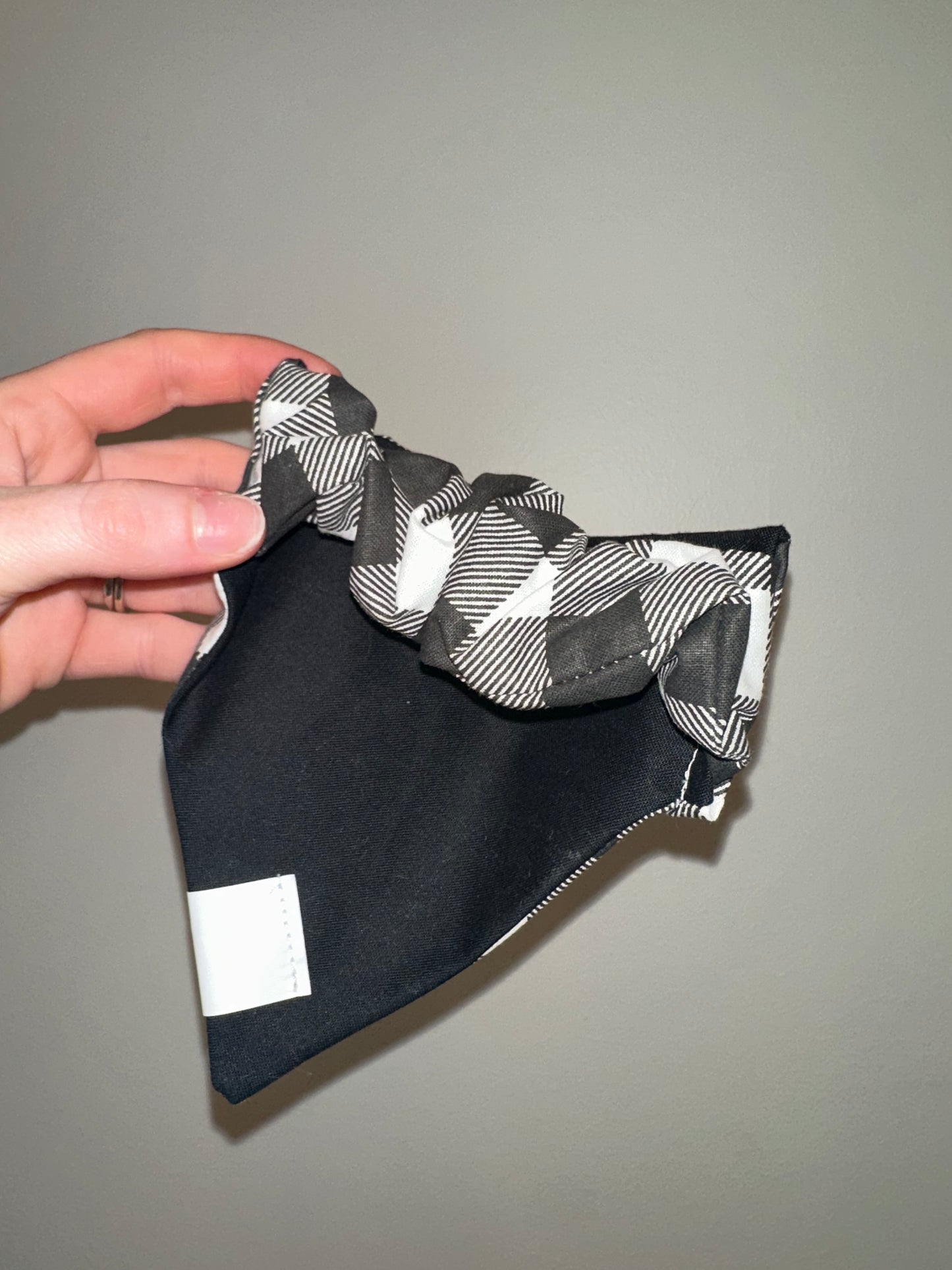 Buffalo check
