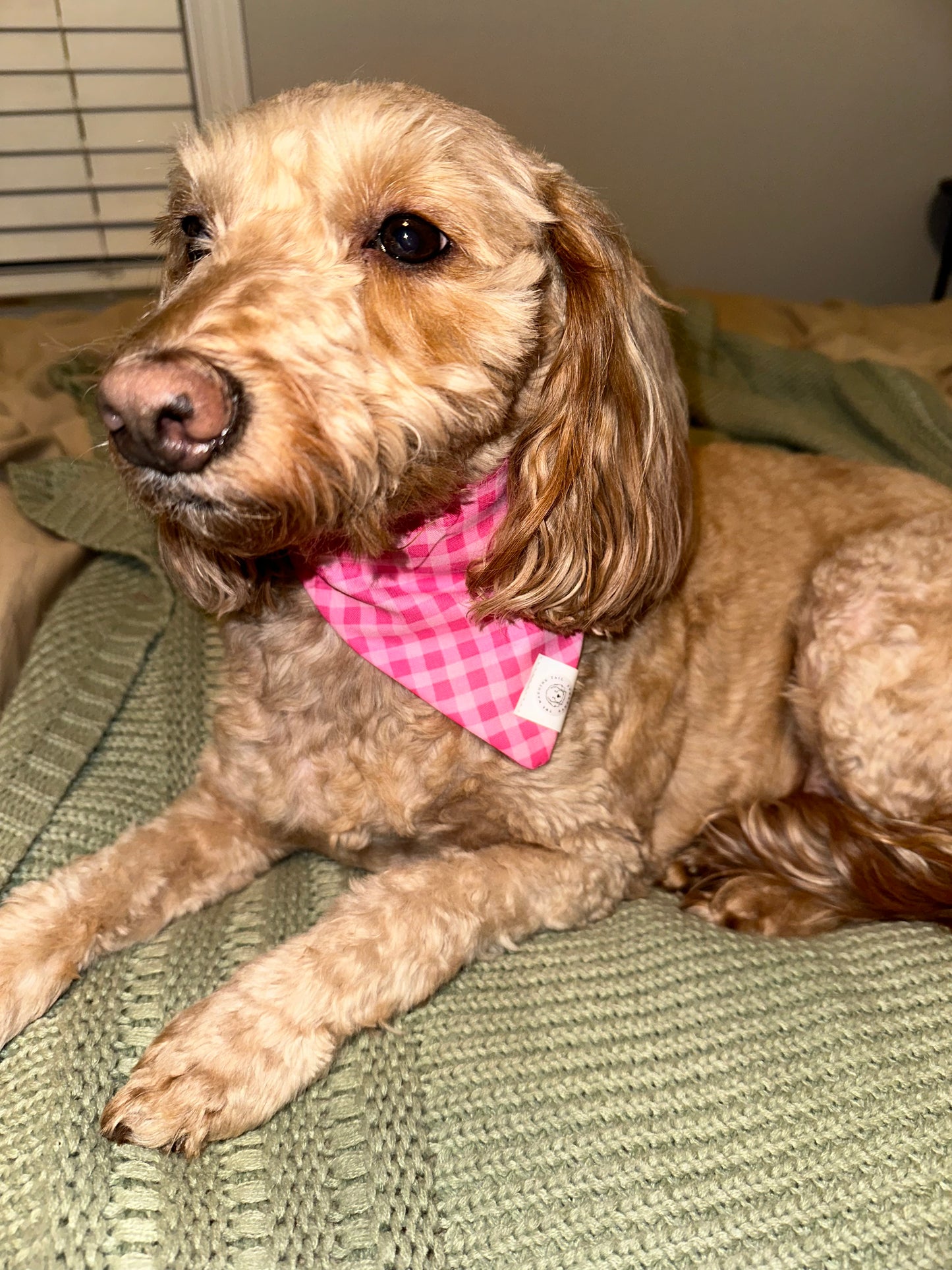 Pink Gingham