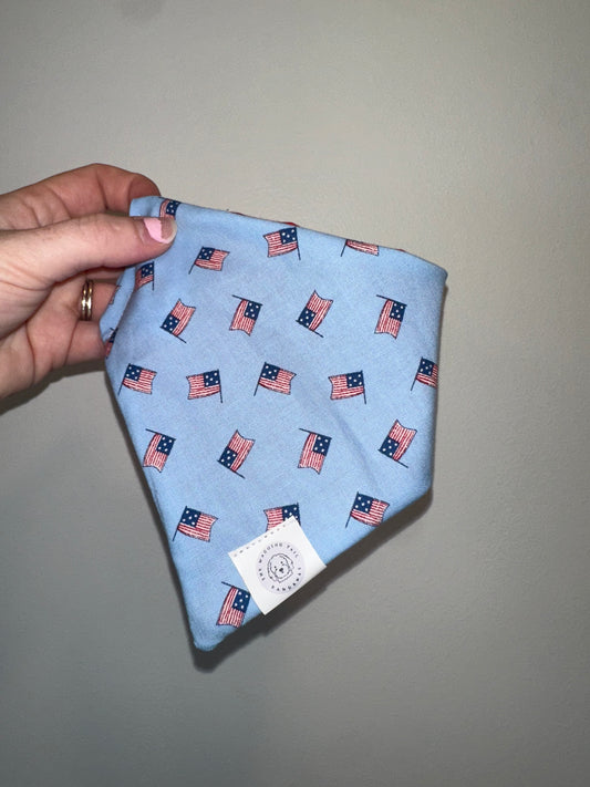 Mini flags